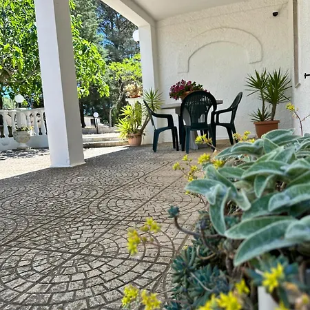 Apartament Ninetta *